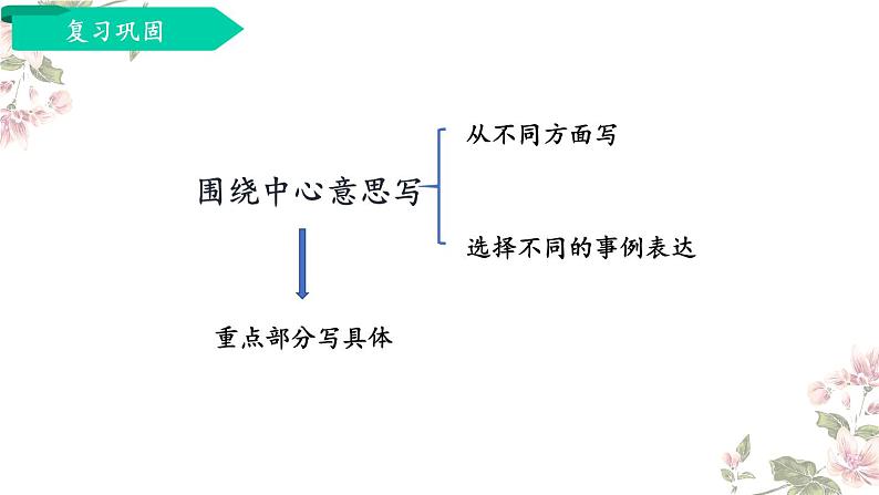 习作：围绕中心意思写-部编版语文六年级上册 课件02