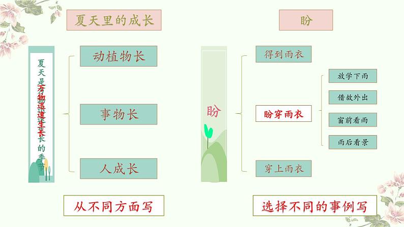 习作：围绕中心意思写-部编版语文六年级上册 课件05