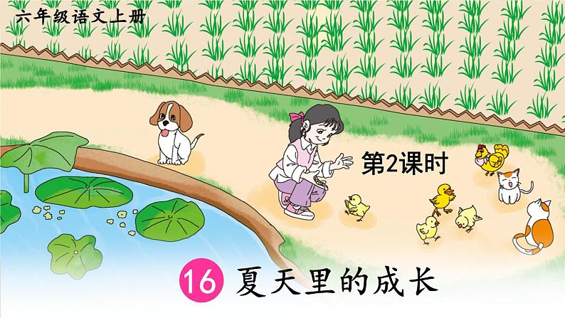 16 夏天里的成长-部编版语文六年级上册 课件01