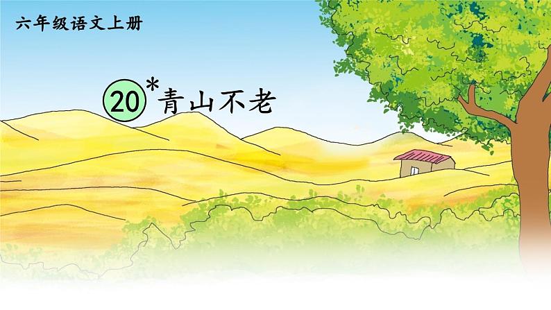 20 青山不老-部编版语文六年级上册 课件01