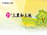 21 三黑和土地-部编版语文六年级上册 课件