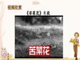 21 三黑和土地-部编版语文六年级上册 课件
