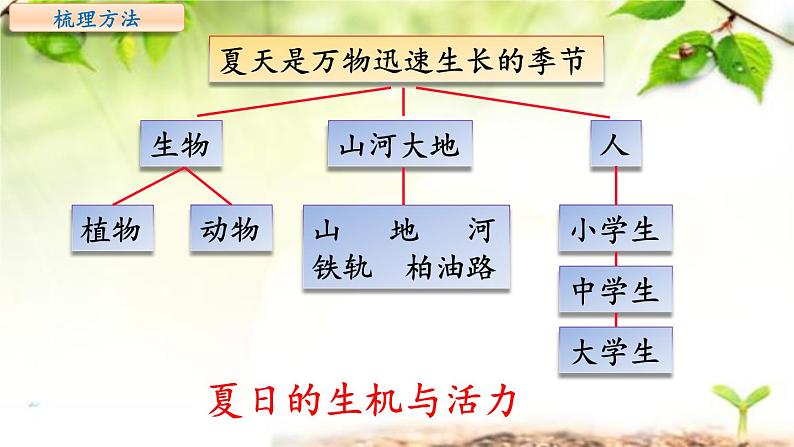 第五单元主题阅读-部编版语文六年级上册课件PPT第8页