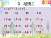 第五单元复习课件