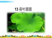 部编语文一年级下册13 荷叶圆圆课件+教案+精彩片段+素材