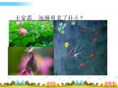 部编语文一年级下册13 荷叶圆圆课件+教案+精彩片段+素材