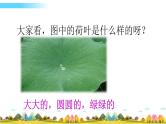 部编语文一年级下册13 荷叶圆圆课件+教案+精彩片段+素材