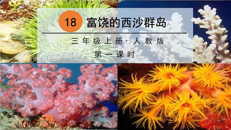 部编版语文三上 18 富饶的西沙群岛（课件PPT）01