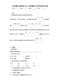 广东省湛江市麻章区2021年部编版小升初考试语文试卷（含解析）