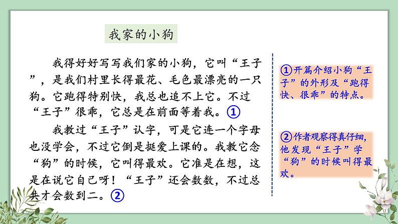 部编版语文三上 习作例文（课件PPT）（课件PPT）05