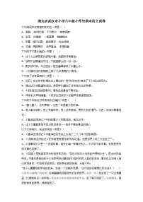 2023年湖北省武汉市武汉小学小学六年级小升初期末语文试卷(无答案)