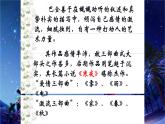 人教四上语文4.繁星 课件