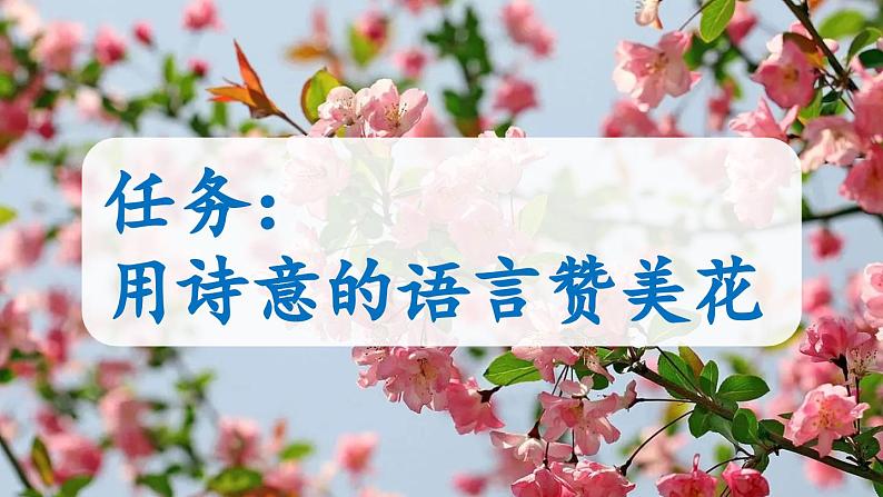 人教语文6年级上册 4 花之歌课件+教案 +习题02