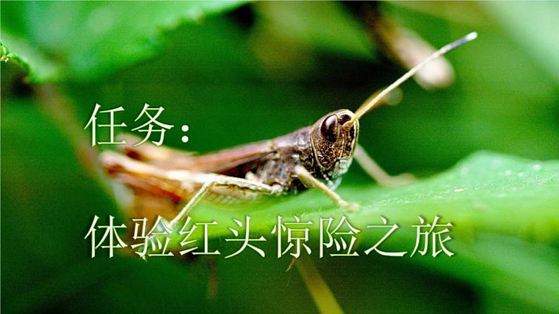 10 在牛肚子里旅行【新课标版】第1页