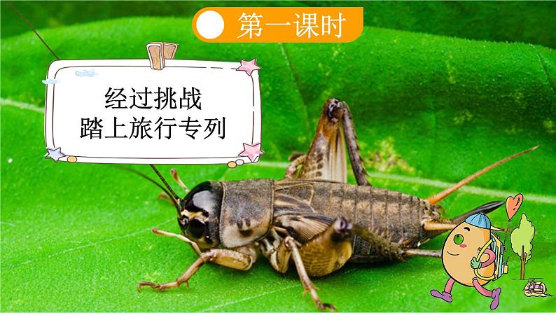 10 在牛肚子里旅行【新课标版】第3页