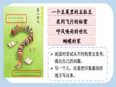 【新课标】5 一个豆荚里的五粒豆（课件PPT+教案+音视频素材)