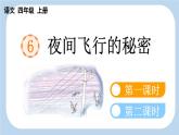 【新课标】6 夜间飞行的秘密（课件PPT+教案+音视频素材)