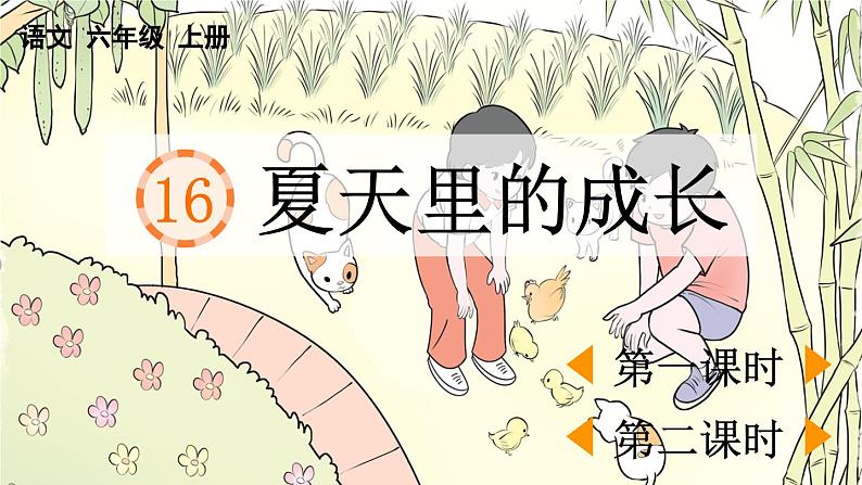 人教语文6年级上册 第5单元16 夏天里的成长 课件+教案+习题01