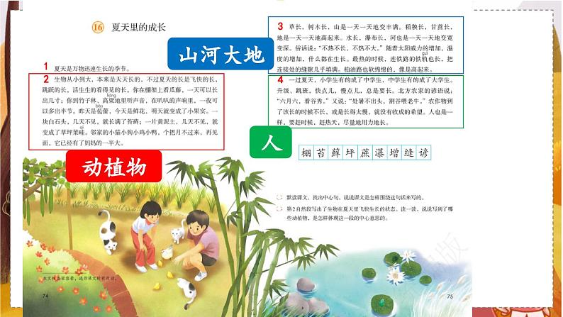 人教语文6年级上册 第5单元16 夏天里的成长 课件+教案+习题08