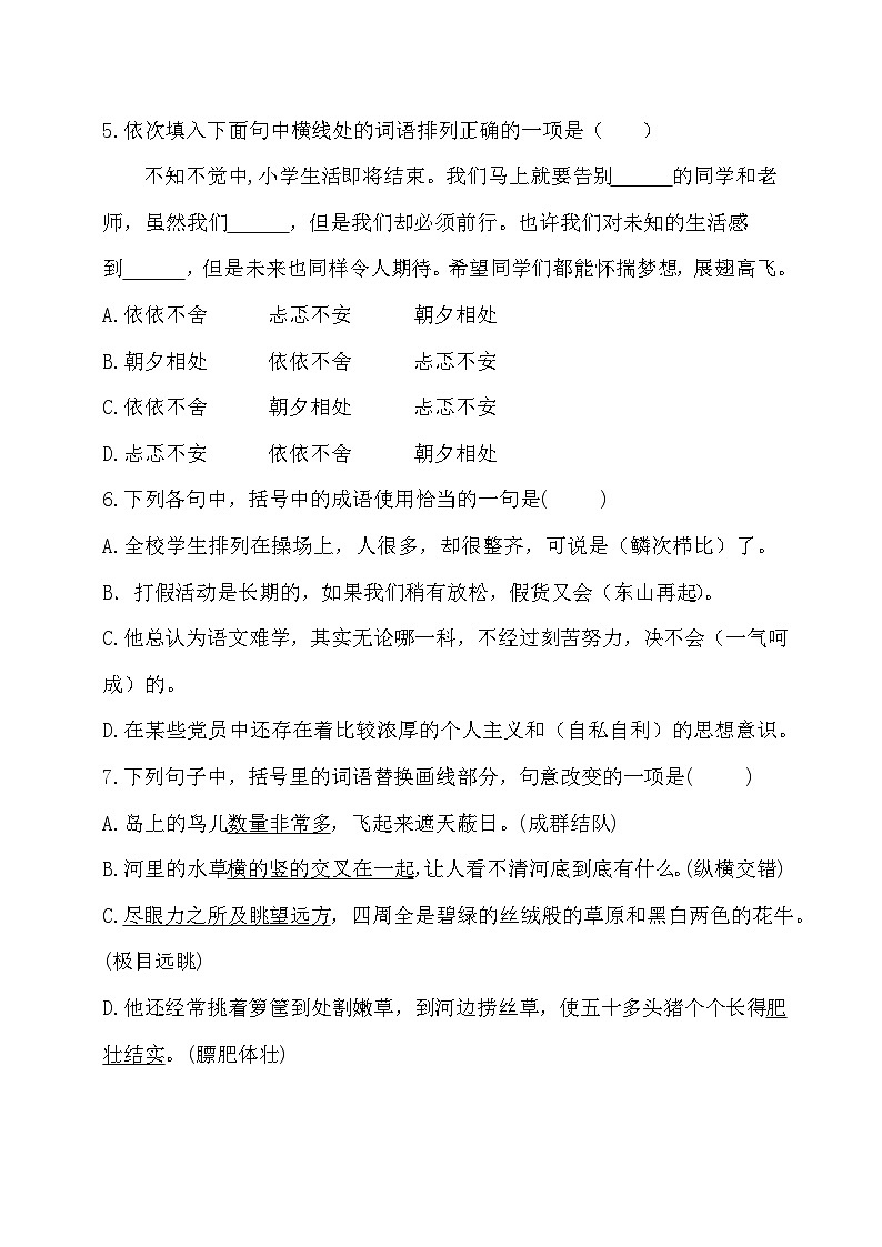 小升初暑假衔接  第三讲 熟语运用 -2023-2024学年语文（统编版）02