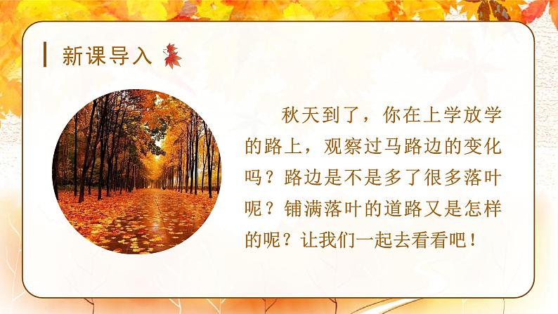 （教学课件）5.铺满金色巴掌的水泥道第1页