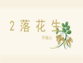 2.落花生 5语上 第1单元【课件+教案】
