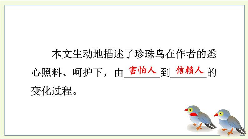 4.珍珠鸟 5语上 第1单元【课件+教案】08