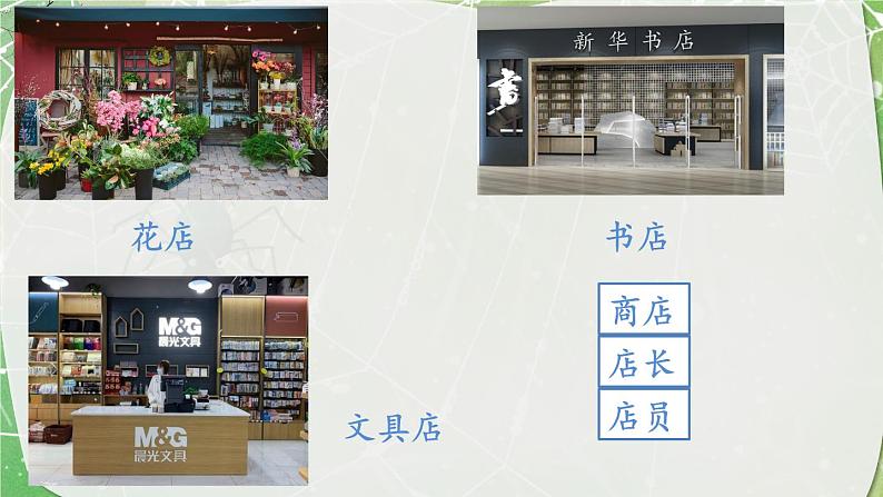 部编版语文二下 20 蜘蛛开店 第一课时课件PPT第3页