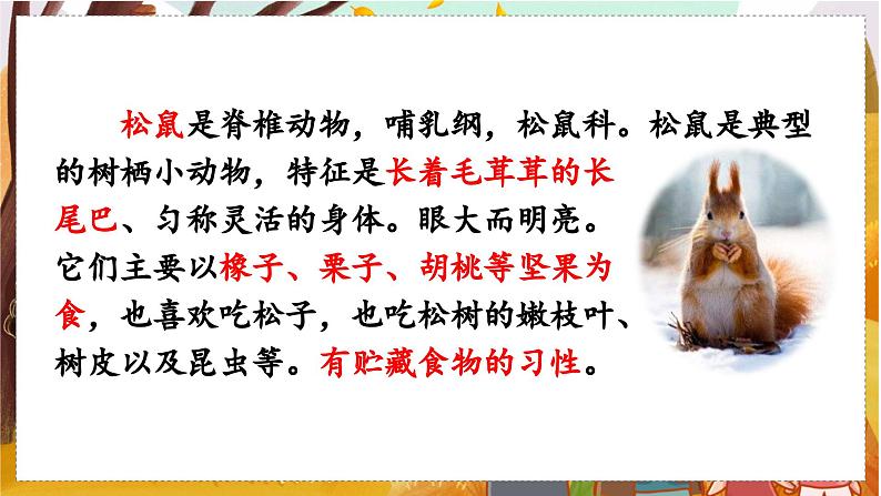 （教学课件）17.松鼠第3页
