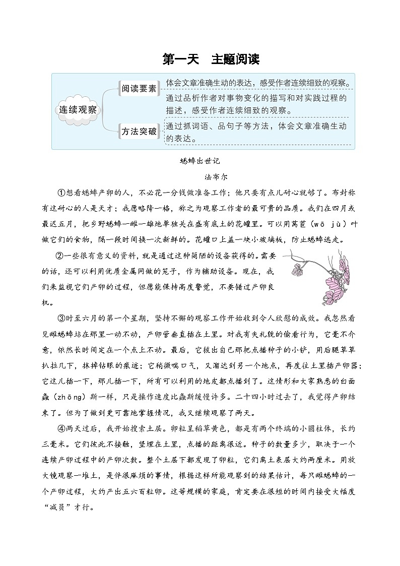 (新课标)三升四语文阅读与习作暑期升级训练(第五周)02