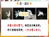 1.白鹭 5语上 第1单元【课件+教案】