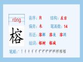 部编版五年级语文上册（生字课件）23.鸟的天堂