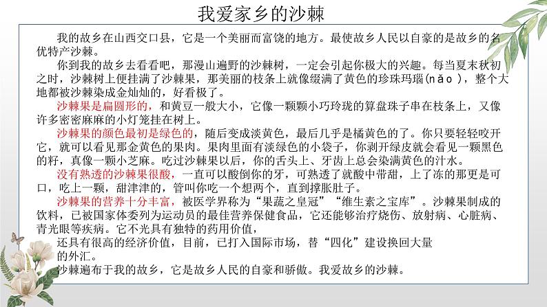 部编版语文小升初综合复习作文课件：说明文07