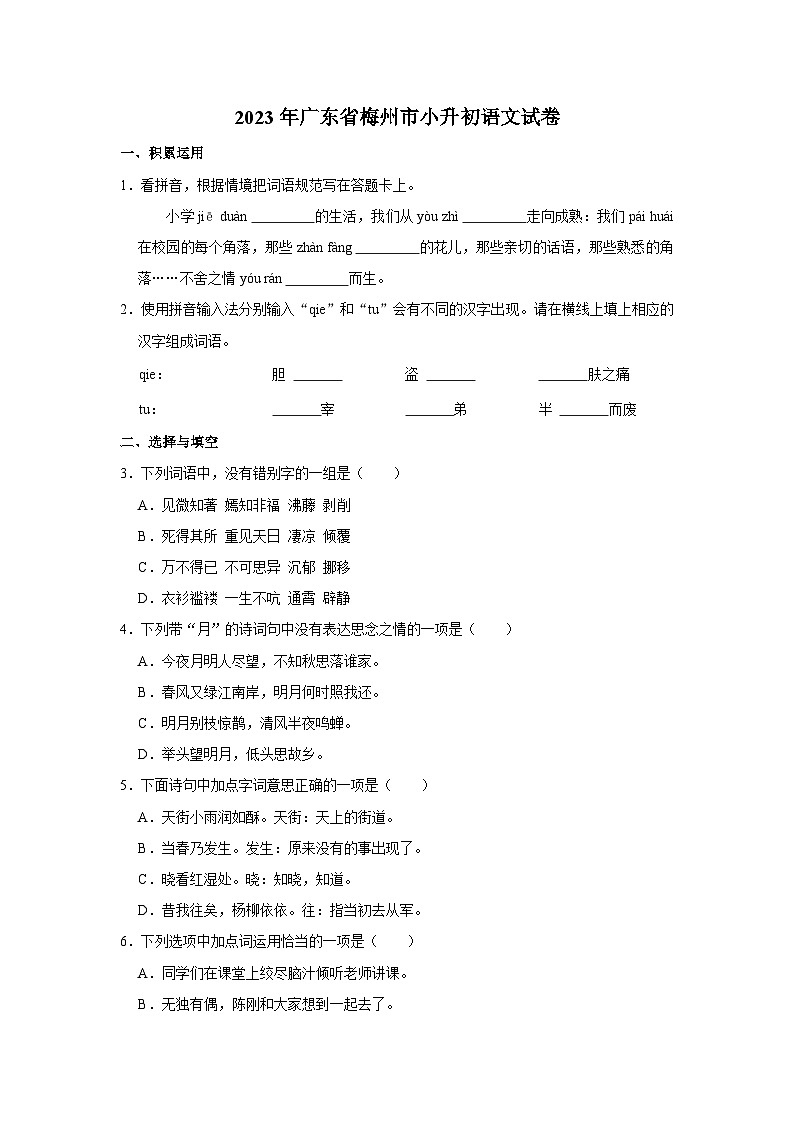 2023年广东省梅州市小升初语文试卷01