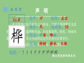 部编版四年级语文下册（生字课件）11 白桦