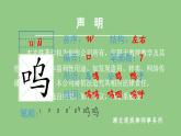 部编版四年级语文下册（生字课件）19 小英雄雨来（节选）