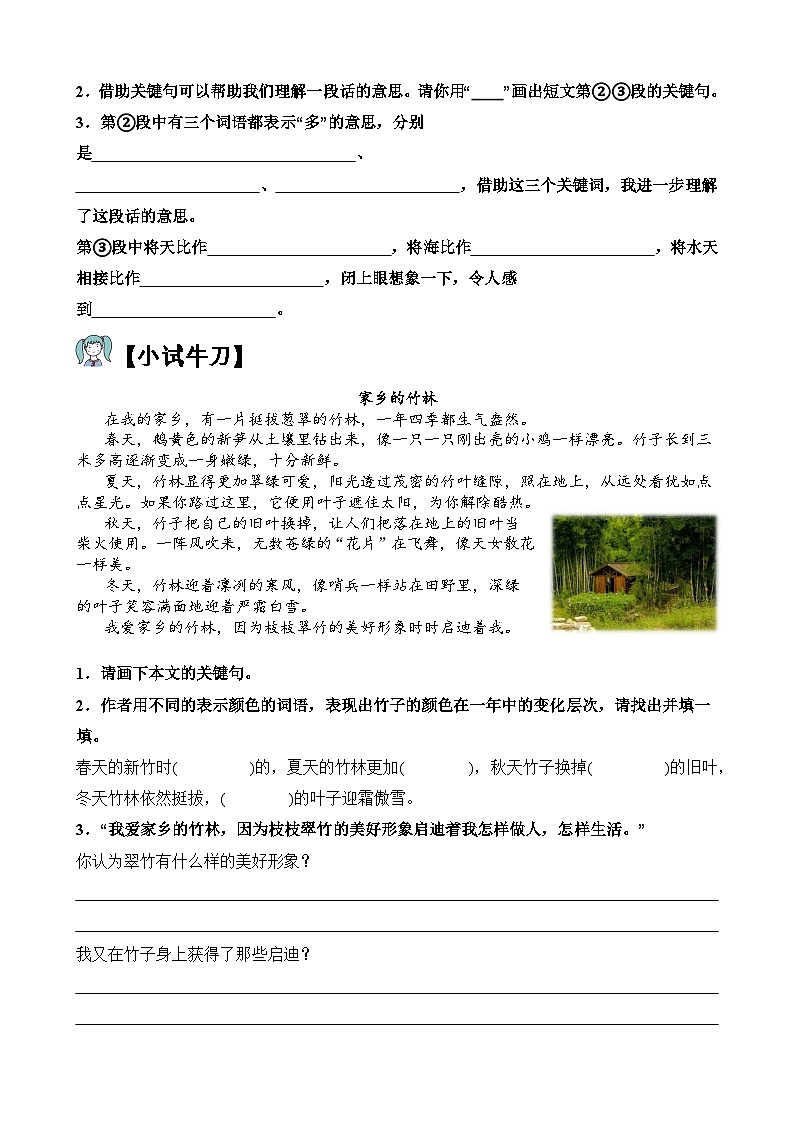 【单元主题阅读】第六单元：壮美山河（试题）三年级语文上册  部编版（含答案、解析）第3页