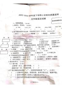 陕西省渭南市华阴市2022-2023学年五年级下学期期末质量检测语文试卷