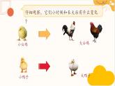 统编版一年级语文下册 4 小公鸡和小鸭子课件PPT