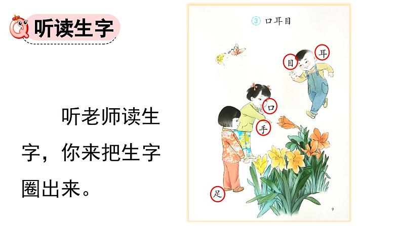 统编版小学语文一年级上册《口耳目》教学课件第5页