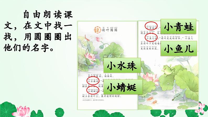 12 荷叶圆圆 PPT第5页