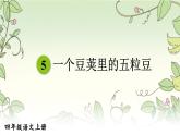 人教版四年级语文上册 第5课 《一个豆荚里的五粒豆》 课件+教案