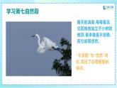 2023秋部编版五年级语文上册《白鹭2》课件