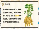 2《落花生》游戏互动课件PPT+课文朗读