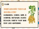 27《我的长生果》游戏互动课件PPT+课文朗读
