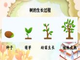 统编版语文三年级上册 9.那一定会很好 课件