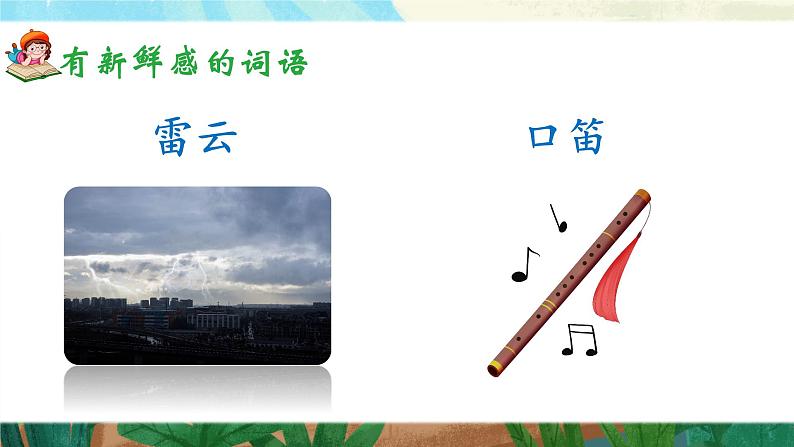 2《花的学校》课件+教案07