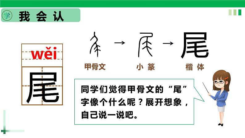 一年级语文上册第六单元课文二《6比尾巴》精品同步PPT课件+教案+说课稿+课文朗读+图片素材04