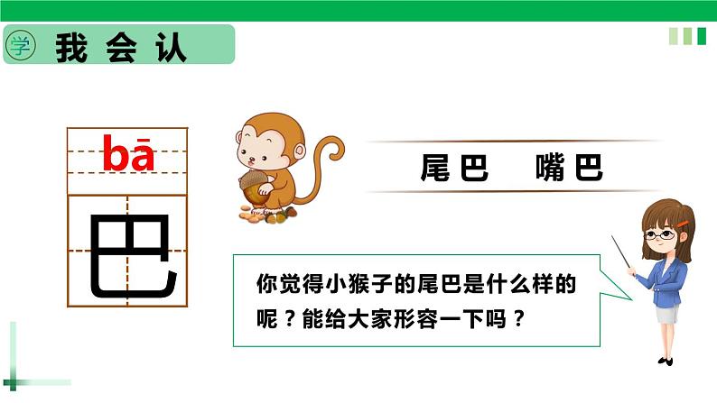 一年级语文上册第六单元课文二《6比尾巴》精品同步PPT课件+教案+说课稿+课文朗读+图片素材05