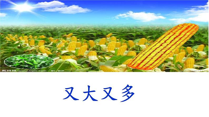 《小猴子下山》教学课件06